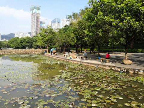 深圳洪湖公园风景