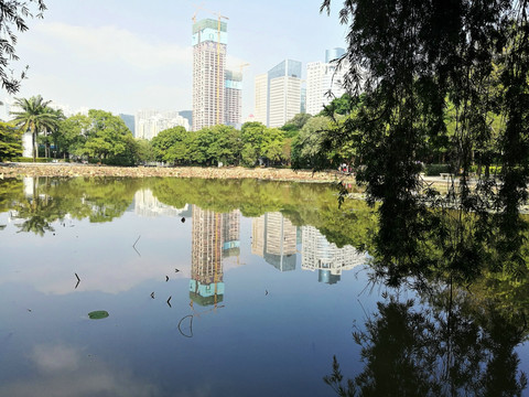 深圳洪湖公园风景