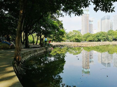 深圳罗湖洪湖公园