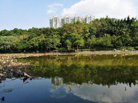 深圳市罗湖区洪湖公园