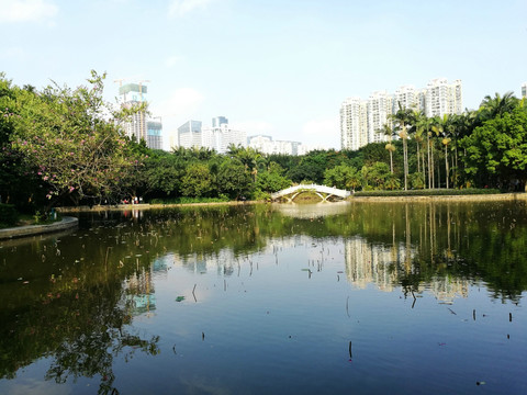 深圳罗湖洪湖公园水景区