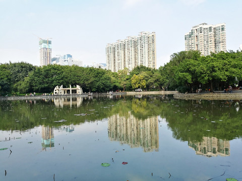 深圳洪湖公园风景