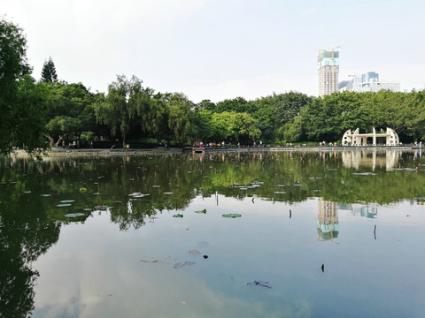 洪湖公园风景