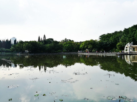 设置洪湖公园风景区