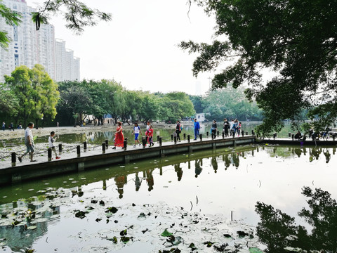 深圳罗湖洪湖公园景区