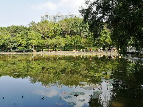 深圳罗湖洪湖公园景区