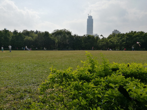 深圳罗湖洪湖公园美景