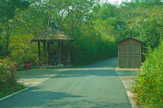 西溪湿地路口道路