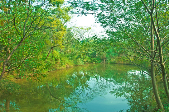 西溪湿地水道