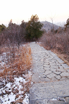 山上石头小路