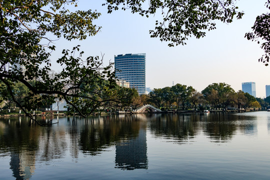 月湖 盛园 宁波公园景观