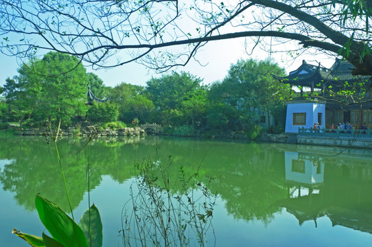 西溪湿地水景