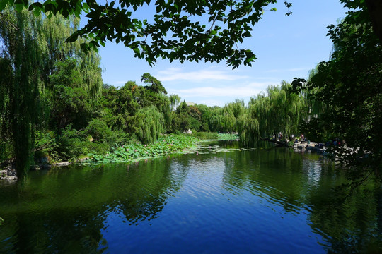 清華大學