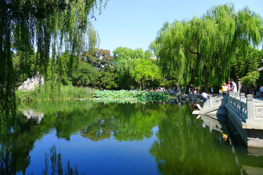 清華大學