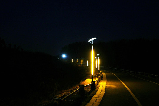 路灯下的道路