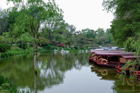 瘦西湖风光