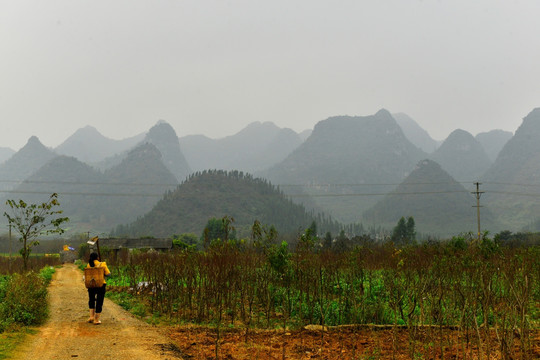 美丽乡村