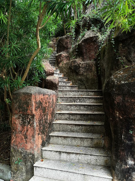 深圳东湖公园登山阶梯