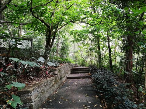 深圳罗湖东湖公园景区