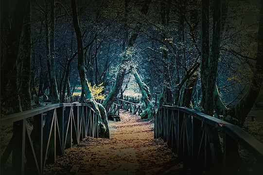 裝飾畫