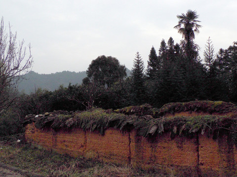 乡村风景