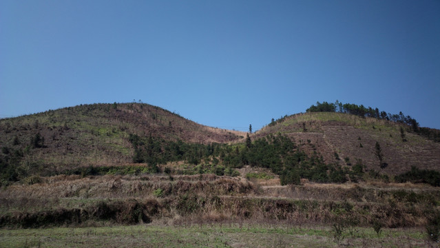 山野