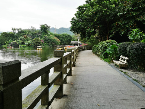 深圳东湖公园风景