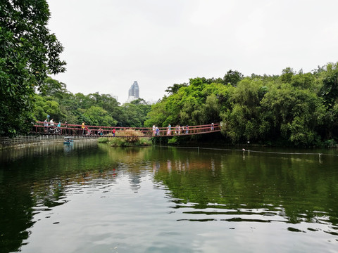 山清水秀