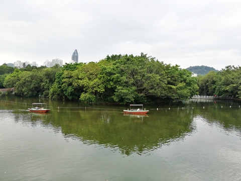 深圳罗湖东湖公园景色