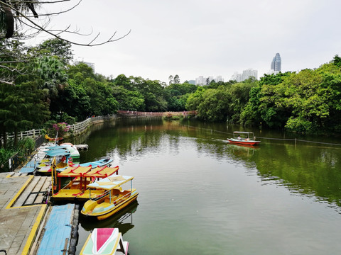 深圳东湖公园美景