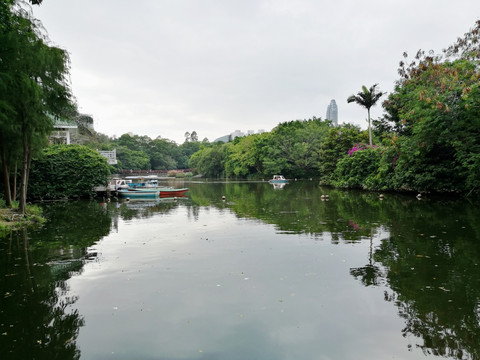 深圳罗湖东湖公园