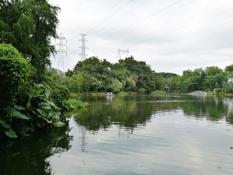 深圳东湖公园美景