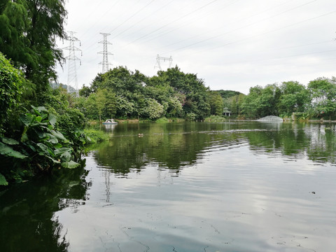 深圳东湖公园绿水青山风景