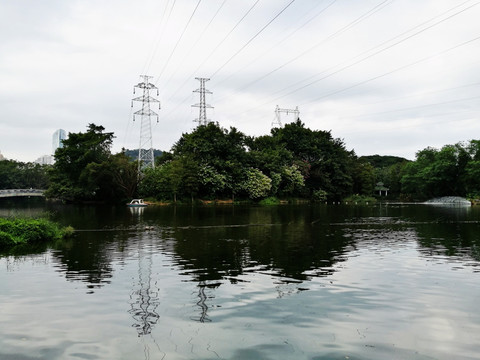 深圳东湖公园景区