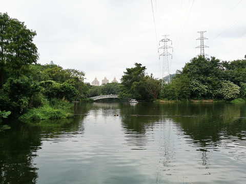 深圳东湖公园美景