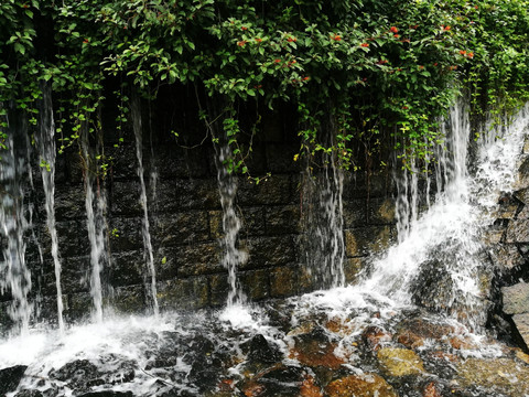 深圳东湖公园风景