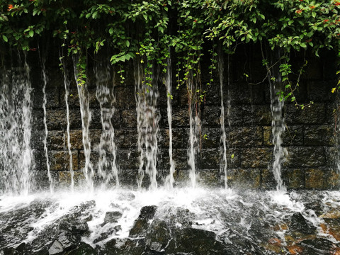 深圳东湖公园风景