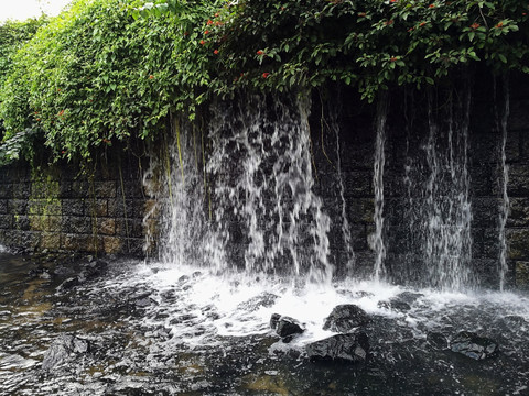 深圳东湖公园风景