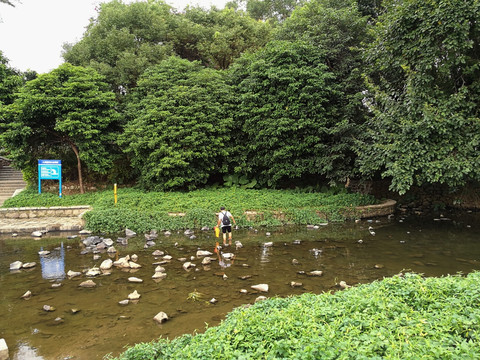 深圳东湖公园