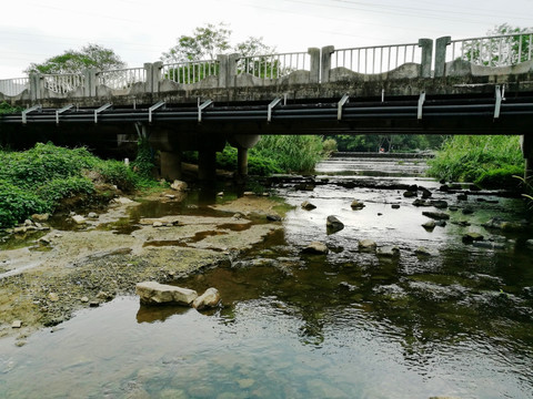 深圳东湖公园风景