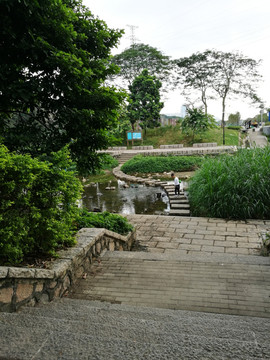 深圳东湖公园风景