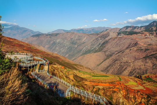 东川红土地 东川 云南