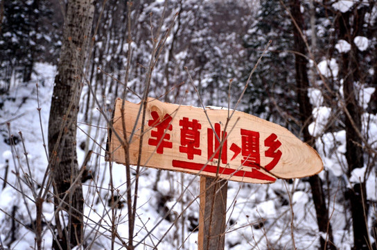 雪乡雪景