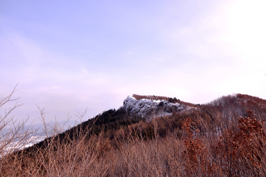 冬季雪景