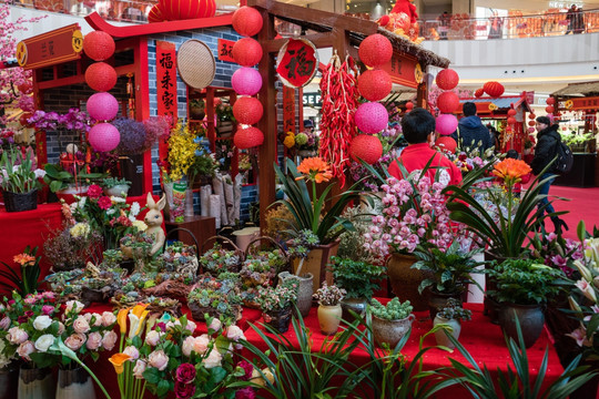 庙会 春节花市