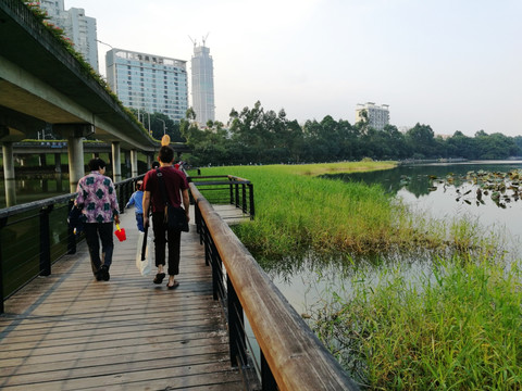 深圳洪湖公园风景