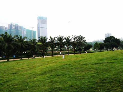 深圳中山公园风景