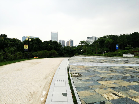 深圳中山公园风景