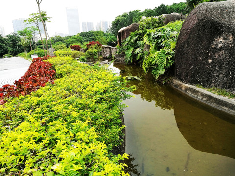 深圳中山公园景区