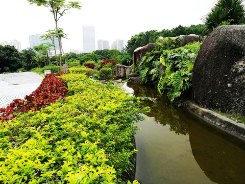 深圳中山公园景色